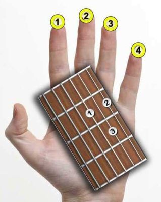 how to read music for guitar: exploring the nuances of finger placement and rhythm