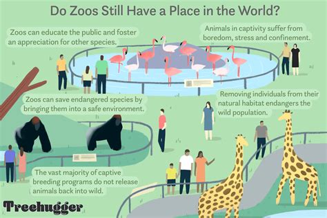 Is Art of the Zoo Illegal? The Moral Dilemma of Captivity and Creativity